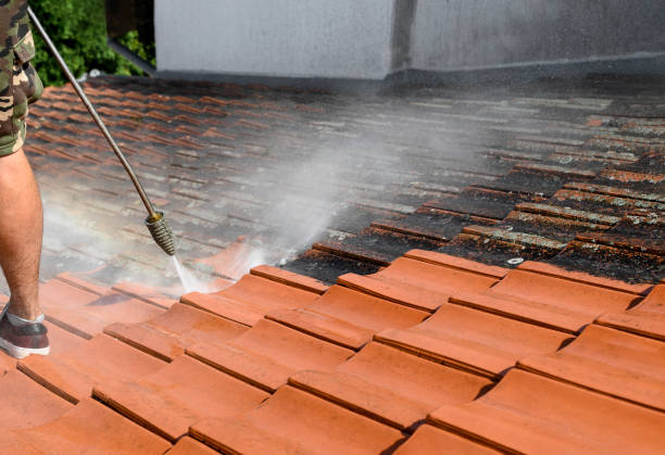 Best Residential Pressure Washing Services  in Penn Farms, PA